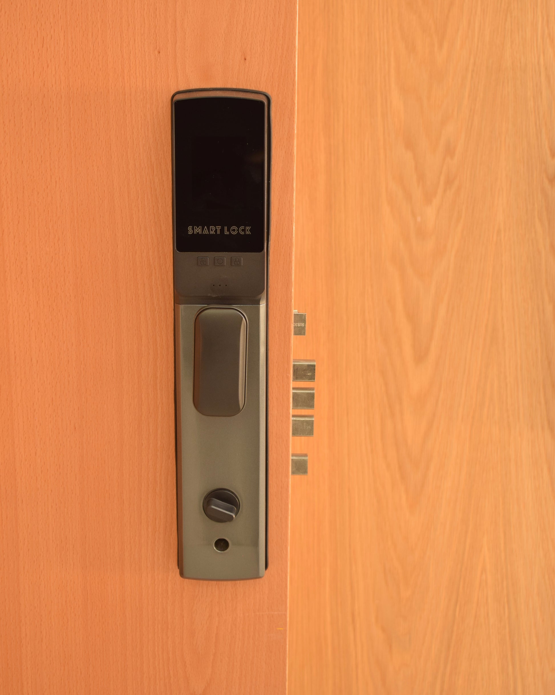 SM-19 Biometric Lock modern digital smart lock mounted on wooden door with sleek gunmetal finish design