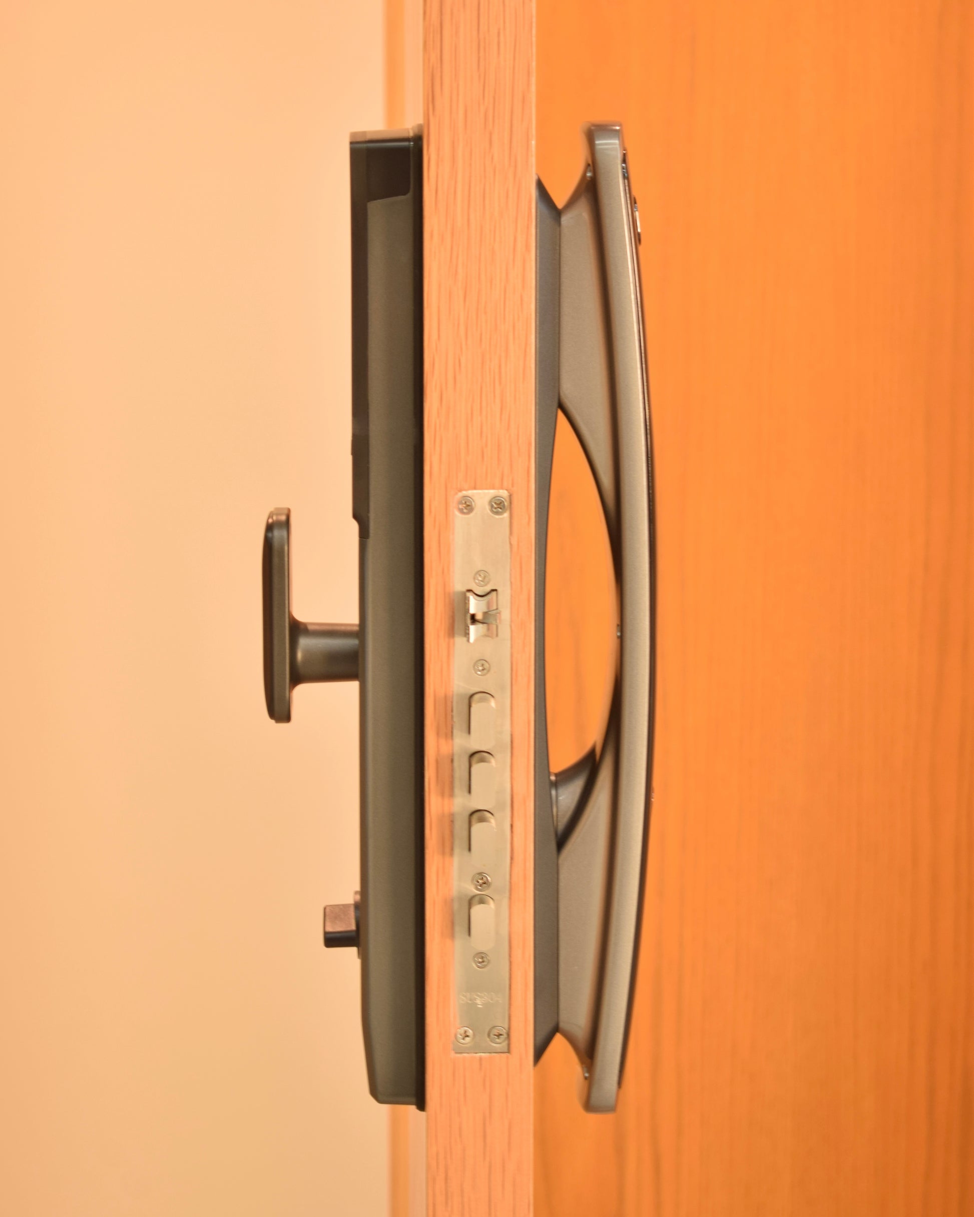SM-19 Biometric Lock installed on wooden door, showing sleek black handle and silver keypad mechanism, side profile view